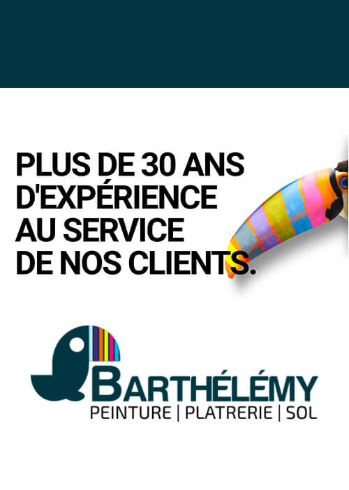 mockup de présentation du site internet créé par notre agence de marketing digital pour l'entreprise de peinture Barthélémy à Pau